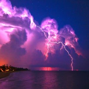 Meet your Posher, Sasha